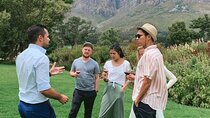 Stellenbosch Winelands Experience