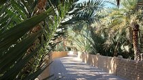 Semi-Private Full-Day Al Ain Cultural Tour from Dubai with Lunch