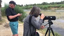 Birding San Jose Estuary Los Cabos Mexico 
