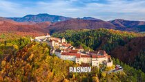 Medieval Transylvania Full-Day Private Tour from Brasov