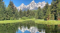 Private Full-Day Grand Teton National Park Tour with Picnic Lunch