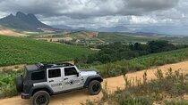 Full Day Stellenbosch Wine Tour