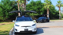 Los Cabos Luxury Private Tesla Transfer from Airport to Cabo San Lucas Area