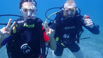 Try Scuba Diving / Basic Diver