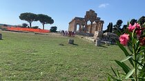 Paestum Private Tour from Naples