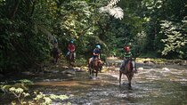 Sarapiqui Forest Horseback Riding Experience in Costa Rica