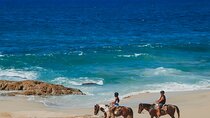 Tacos and Horseback Riding at Migriño beach