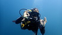 Scuba Diving Albufeira-Double Dive Trip