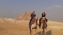 Day Tour To Egyptian museum and Giza Pyramids and Camel Ride
