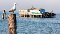 Pellestrina: Bike Hopping Around the Venice Lagoon Islands