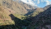 Day trip from Marrakesh to atlas Mountains