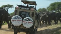 Private 3-Day Big Five Lodge Safari in Northern Tanzania