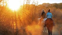 East Zion Checkerboard Evening Shadow Horseback Ride