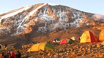 7 Day: Hiking Kilimanjaro via Lemosho Route