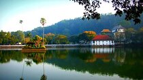 Kandy Sightseeing Day Tour from Negombo / Colombo / Bentota (All Inclusive)