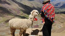 5 Days: Cusco, Sacred Valley, MachuPicchu and Rainbow Mountain