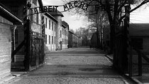 Auschwitz & Birkenau Museum Guided Tour from Krakow with Tickets