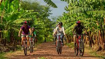 1 Day: Cycling Tour to Arusha National Park