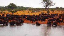 Kruger national park tour-4days/3 nights