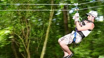 Zipline Canopy & Dunn's River Falls Guided Tour with Admission from Falmouth