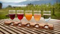 Cidery Day Tour with a Fjord Cruise from Vossevangen