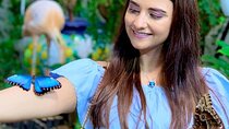 Butterfly Garden Ticket with Shared Transfer