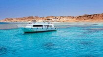 Snorkeling Day trip to tiran island from sharm el shikh