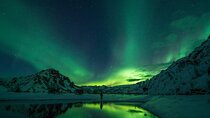 Cozy Northern Lights Tour with Icelandic Treats
