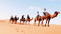 Shared Group 3 Days/2Nights: Fez to Marrakech Sahara Tour