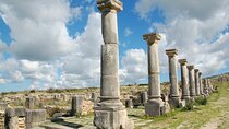 Full-day Historical Meknes Volubilis and Moulay Idriss Tour