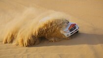 Morning Desert Safari From Abu Dhabi