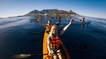 Cape Town Kayak Adventure in Table Mountain Marine Reserve