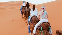 Sahara Desert Family Tour