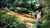 Adventure & History at Tijuca Forest (small group or private)