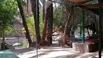 High Atlas Mountains And The Local old Market Private Day Tour
