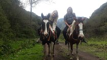 3 Hours Small-Group Horseback Riding Experience in Baños