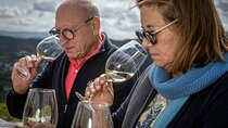 Selection Tasting | Quinta de Santa Cristina Vinho Verde