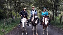 5-Hour Small-Group Horseback Riding Experience in Baños
