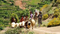 Atlas Mountains with Horse Riding and discover the berber Villages and culture