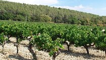 Private Oenogourmande Walk in the Luberon with Tastings