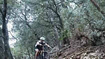 MTB guided tour in Bellver forest and Na Burguesa m.(E-MTB avai.)
