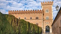 Private Full-Day Customizable Tour to Bolgheri from Florence