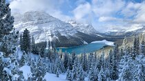 Private Tour for up to 24 guests of Lake Louise and the Icefield Parkway