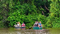 Discover Tortuguero: 1 Night 2 Days All Inclusive Package