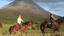 Horseback Riding at Volcano foothills and La Fortuna Waterfall