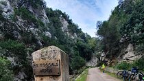 Half-Day Mountain Bike Experience to Serra de Tramuntana,