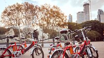 E-Bike Tour through Buenos Aires City Center & Puerto Madero