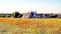 Puglia Full-Day Tour: Bari, Trulli of Alberobello, Castel del Monte and Sassi of Matera