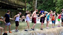 Dunn's River Falls and Luminous Lagoon Guided Tour from Grand Palladium