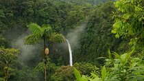 La Fortuna Waterfall Guided Hike, Incl Lunch at La Finquita Farm